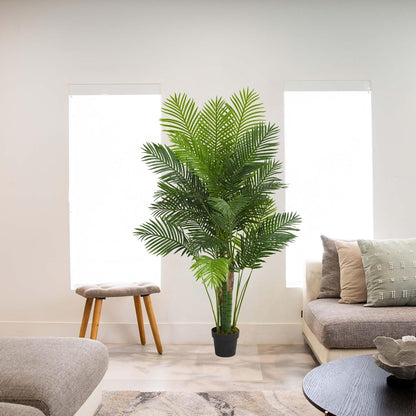 6’ Hawaii Palm Tree Artificial Plant, 6.5" D x14 W x6 Ft, Green
