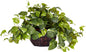 6681 15in. Pothos with Decorative Vase Silk Plant,Green,17.5" x 10.125" x 10.125" No50