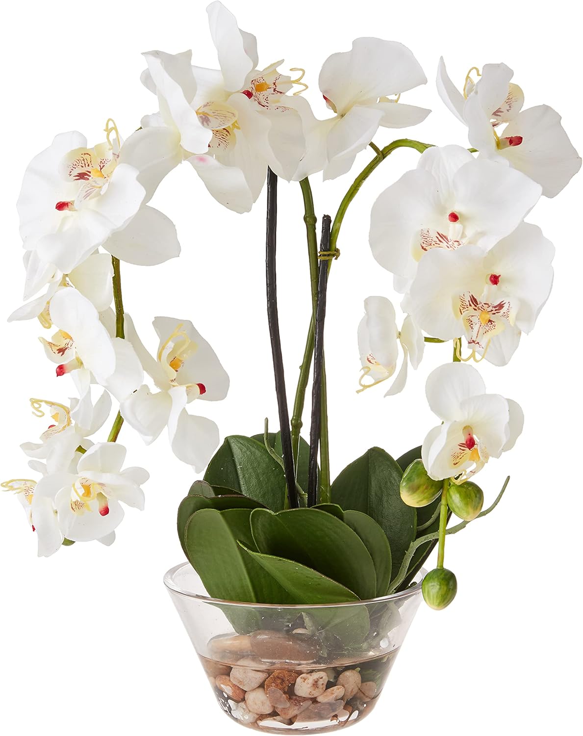 4643-WH Phalaenopsis with Glass Vase Decorative Silk Flower Arrangement, White 29 x 10.25 x 10.25 No50
