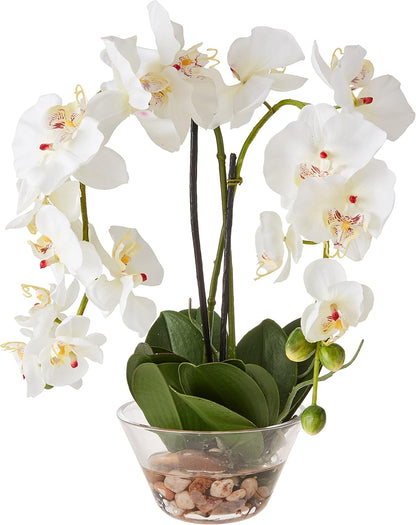 4643-WH Phalaenopsis with Glass Vase Decorative Silk Flower Arrangement, White 29 x 10.25 x 10.25 No50