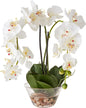 4643-WH Phalaenopsis with Glass Vase Decorative Silk Flower Arrangement, White 29 x 10.25 x 10.25 No50