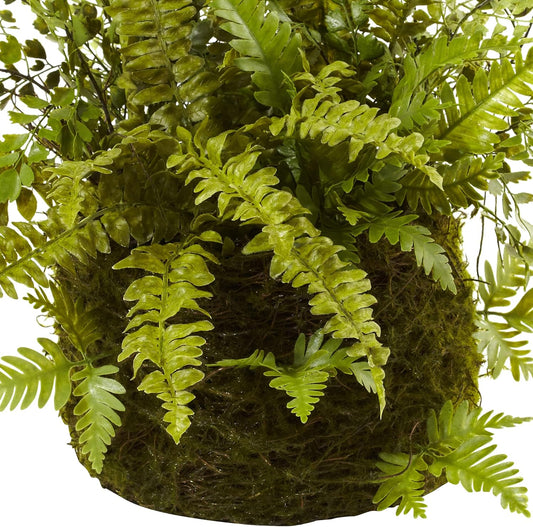 Mixed Fern with Twig and Moss Basket