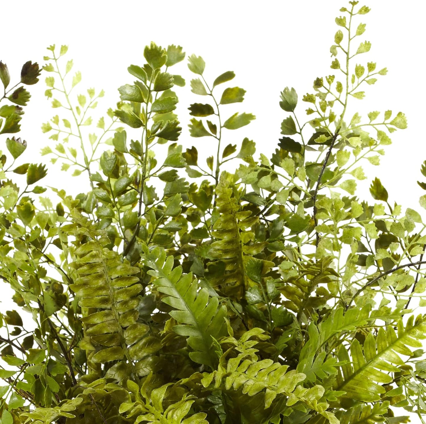 Mixed Fern with Twig and Moss Basket