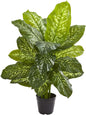 34in. Dieffenbachia Artificial Plant (Real Touch)