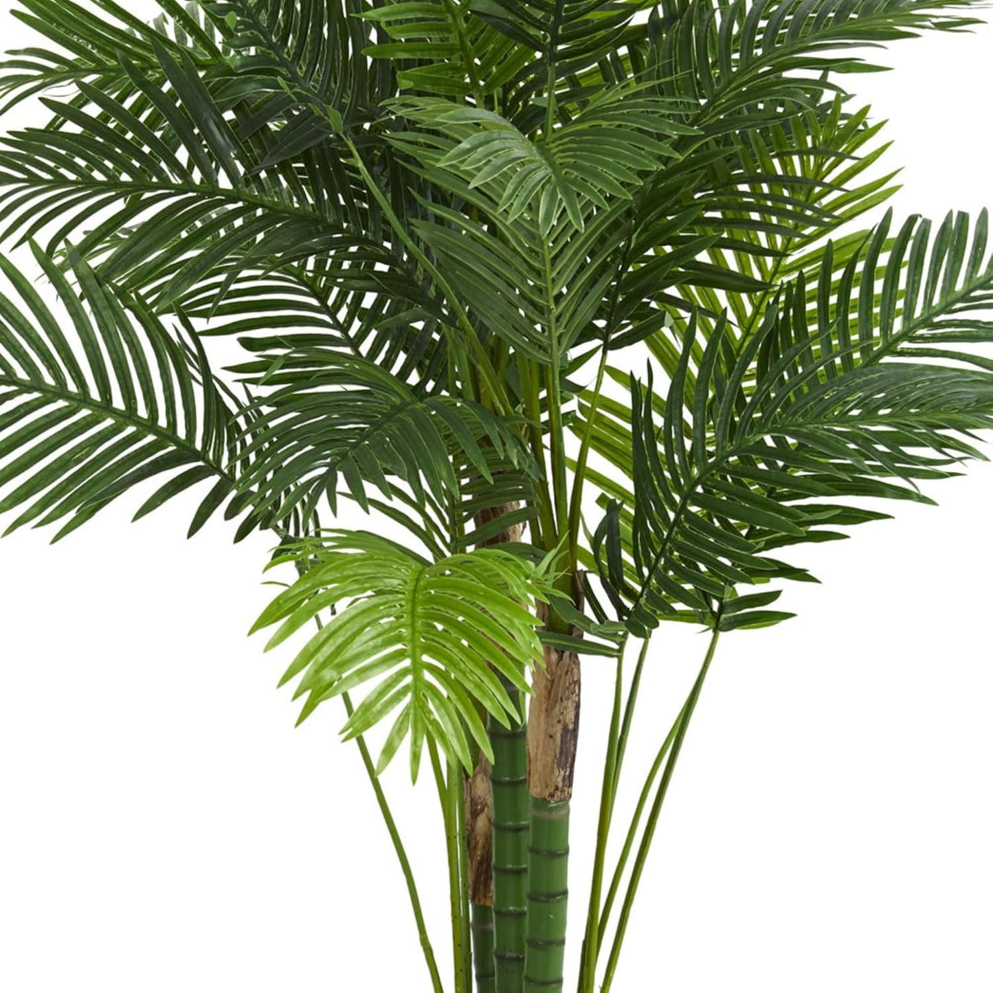 6’ Hawaii Palm Tree Artificial Plant, 6.5" D x14 W x6 Ft, Green