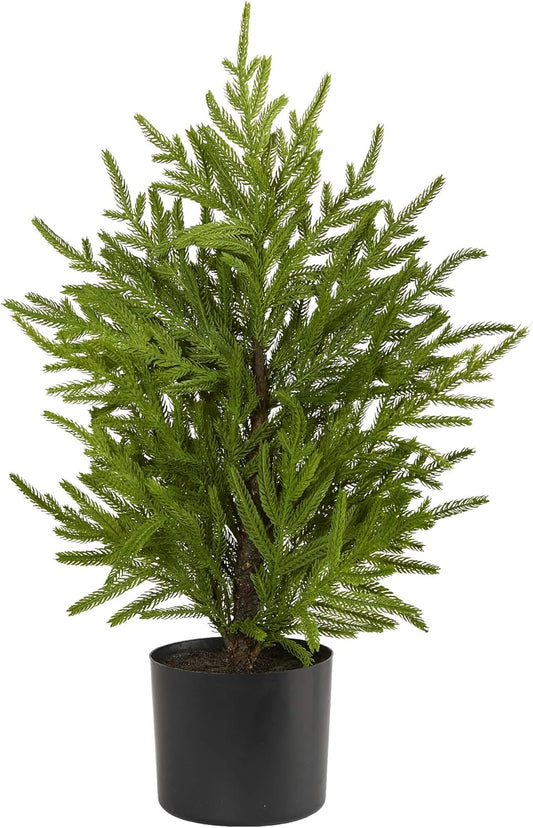 2ft. Norfolk Island Pine Natural Look Artificial Tree in Decorative Planter