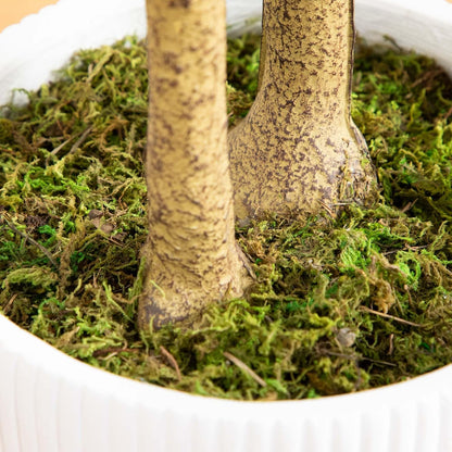 6ft. Artificial Maple Tree with White Planter