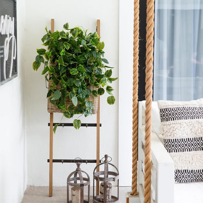 36-Inch UV Resistant Artificial Pothos Hanging Plant Set of 2, Lifelike Greenery for Indoor/Outdoor Decor, Bendable Branches, Ideal for