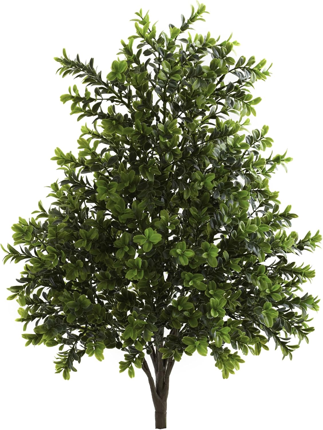 6113-S6 Sweet Grass Bush (Set of 6) (Indoor/Outdoor), 6 Piece,Green No50