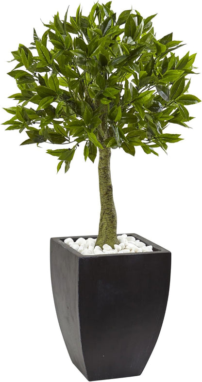 42in. Bay Leaf Topiary with Black Wash Planter UV Resistant (Indoor/Outdoor)