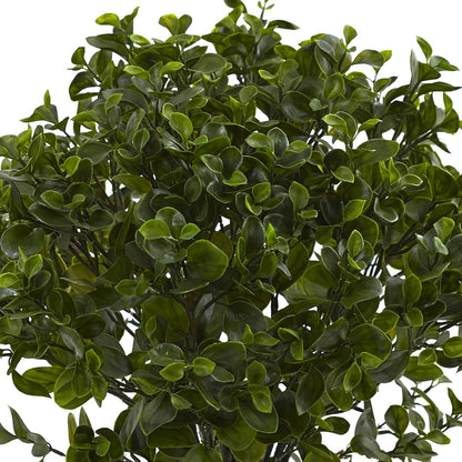 28in. Peperomia Plant UV Resistant (Indoor/Outdoor) No50