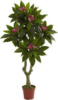 5ft. Plumeria Tree UV Resistant (Indoor/Outdoor)