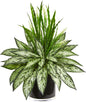 Nearly Natural Silver Queen and Grass Artificial Plant in Black Vase