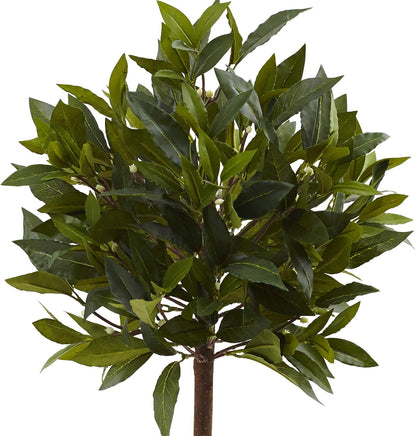 2ft. Sweet Bay Mini Ball Topiary