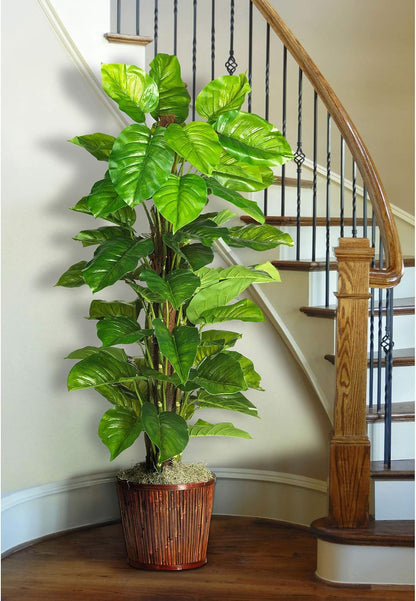 Large Leaf Philodendron Silk Plant (Real Touch) No50