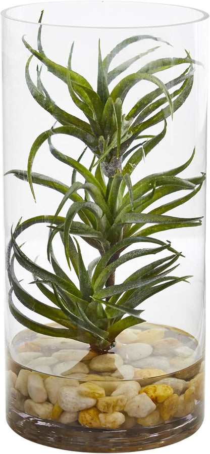 Air Plant Artificial Succulent in Glass Vase