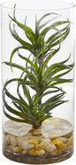 Air Plant Artificial Succulent in Glass Vase