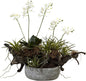 Orchid & Succulent Garden with Driftwood & Decorative Vase