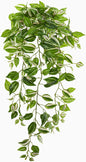 32in. Purple Heart Evergreen Hanging Artificial Plant (Set of 2) (Real Touch)