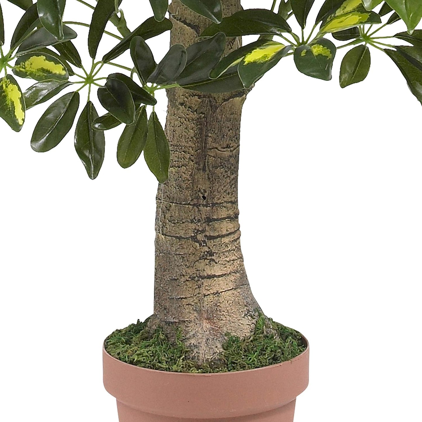 4ft. Schefflera (Real Touch) Silk Tree, Green