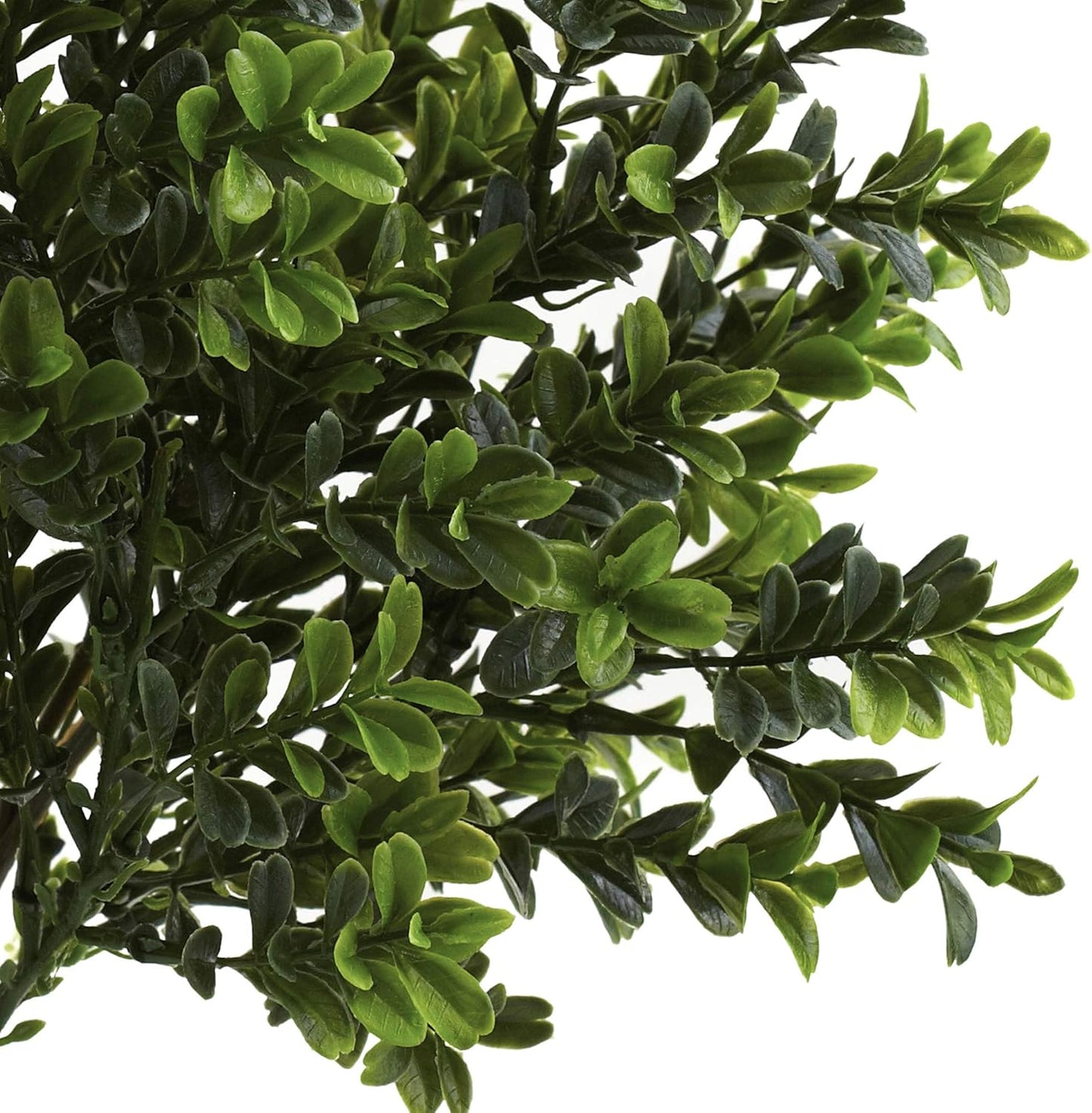 6113-S6 Sweet Grass Bush (Set of 6) (Indoor/Outdoor), 6 Piece,Green No50