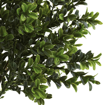 6113-S6 Sweet Grass Bush (Set of 6) (Indoor/Outdoor), 6 Piece,Green No50