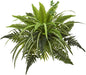 22in. Mixed Greens and Fern Artificial Bush Plant (Set of 3)