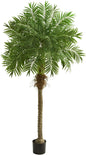 80in. Robellini Palm Artificial Tree