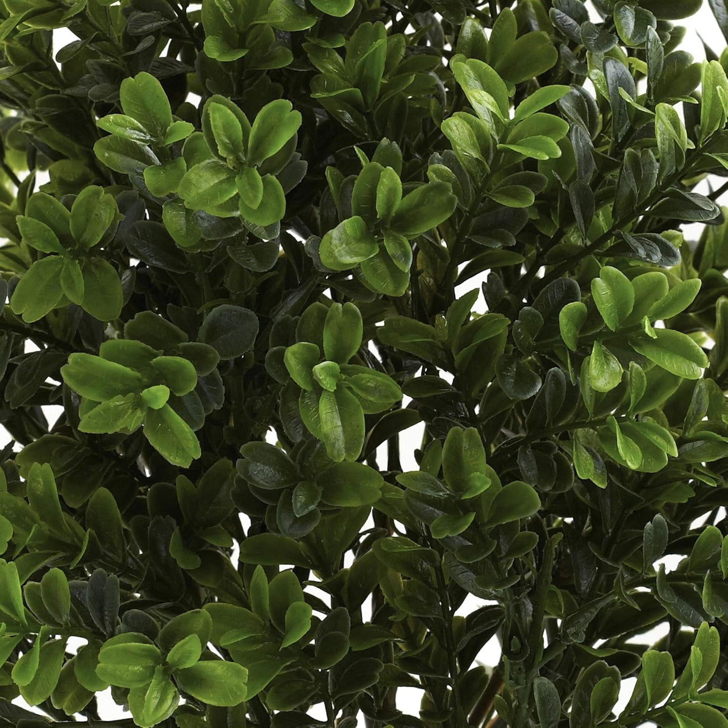 6113-S6 Sweet Grass Bush (Set of 6) (Indoor/Outdoor), 6 Piece,Green No50