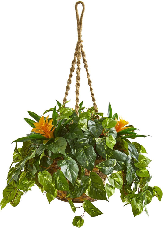31in. Bromeliad & Pothos Artificial Plant in Hanging Basket