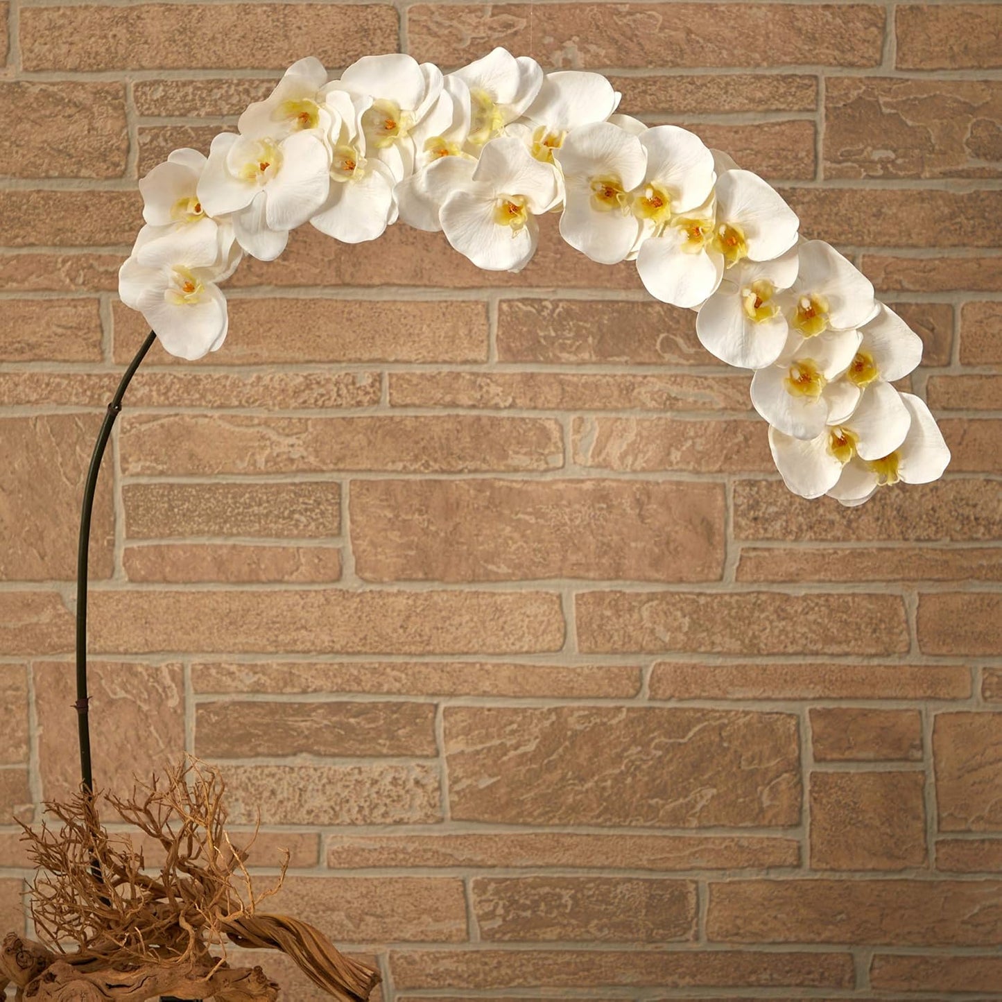 5ft. Large Phalaenopsis Orchid Artificial Flower (Set of 2) No50
