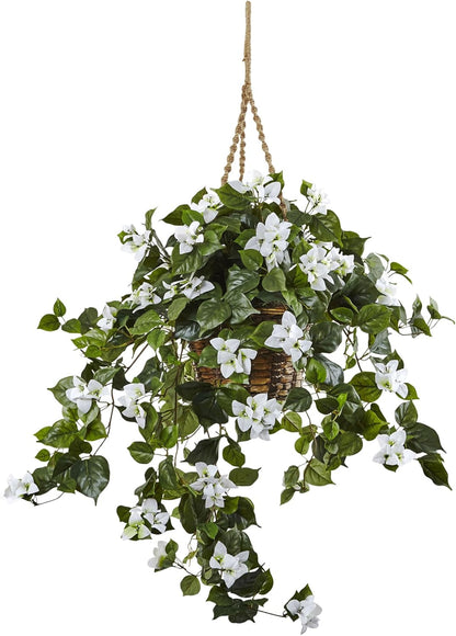 Bougainvillea Hanging Basket