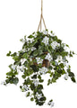 Bougainvillea Hanging Basket