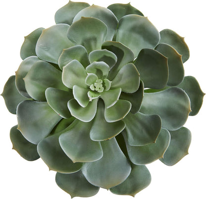 13in. Giant Echeveria Succulent Pick Artificial Plant (Set of 2)