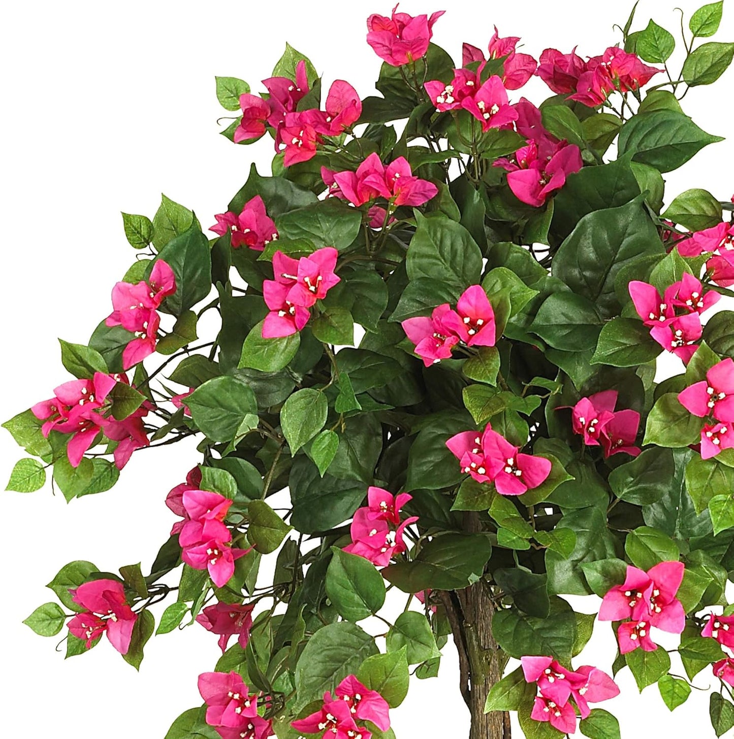 5228 Mini Bougainvillea Topiary Beauty, 5-Feet,9" x 9" x 62.5" , Green