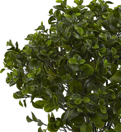 28in. Peperomia Plant UV Resistant (Indoor/Outdoor) No50