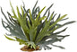 21in. Staghorn Fern (Set of 2)