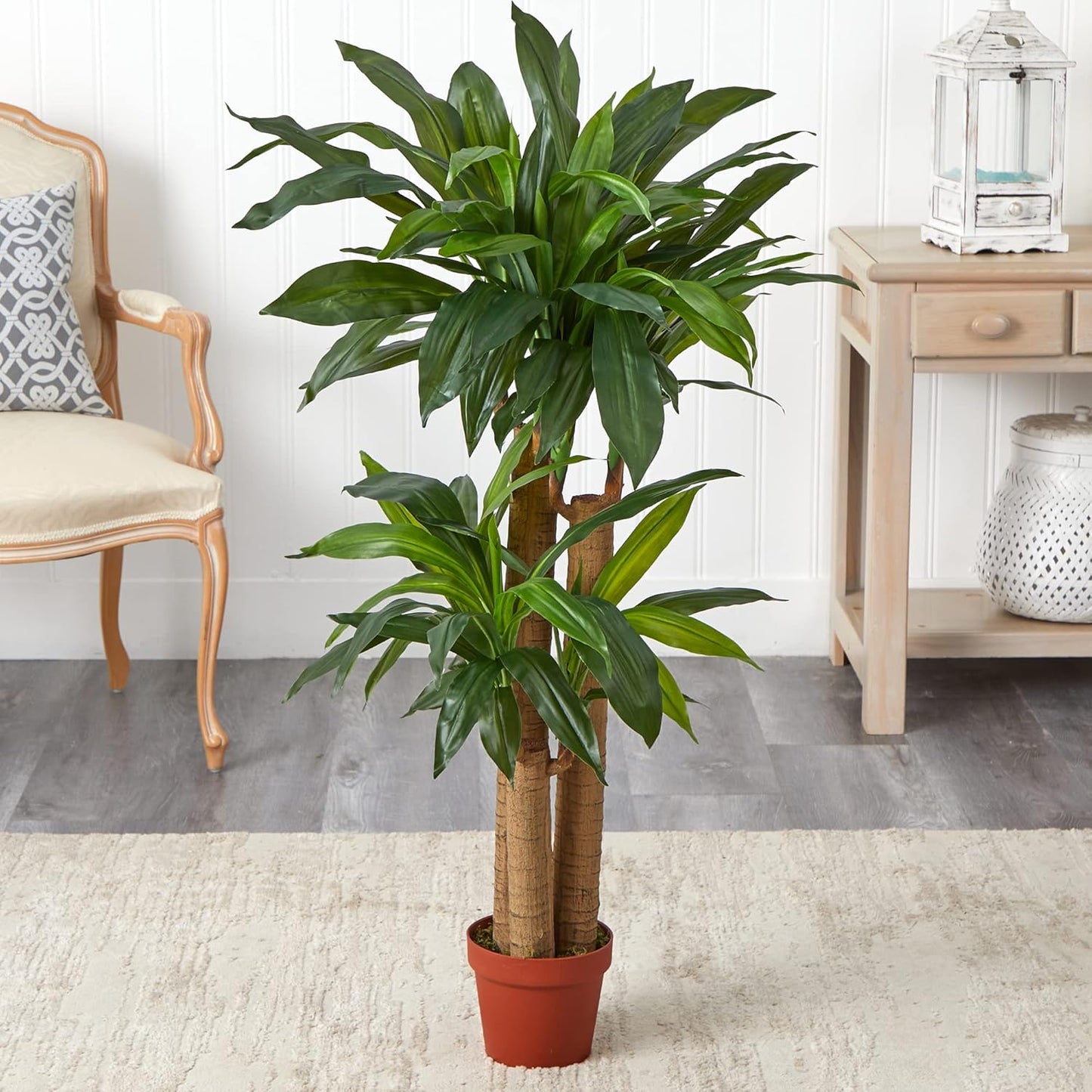 4ft. Corn Stalk Dracaena Silk Plant (Real Touch)