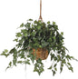 English Ivy Hanging Basket, 36 in x 36 in x 26 in, Green