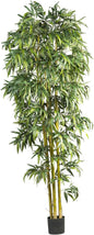 5190 Big Bamboo Silk Tree, 6-Feet, Green, Artificial Floral Company No50