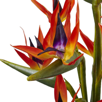 Large Bird of Paradise in Vase
