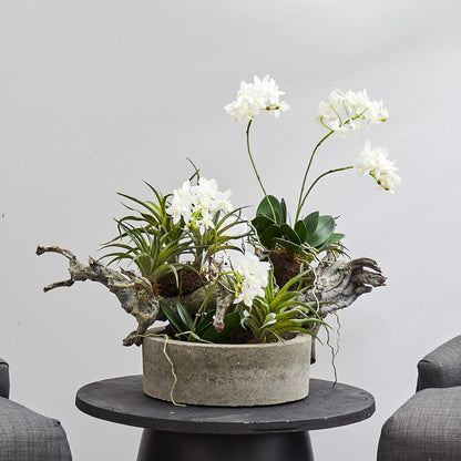 Orchid & Succulent Garden with Driftwood & Decorative Vase