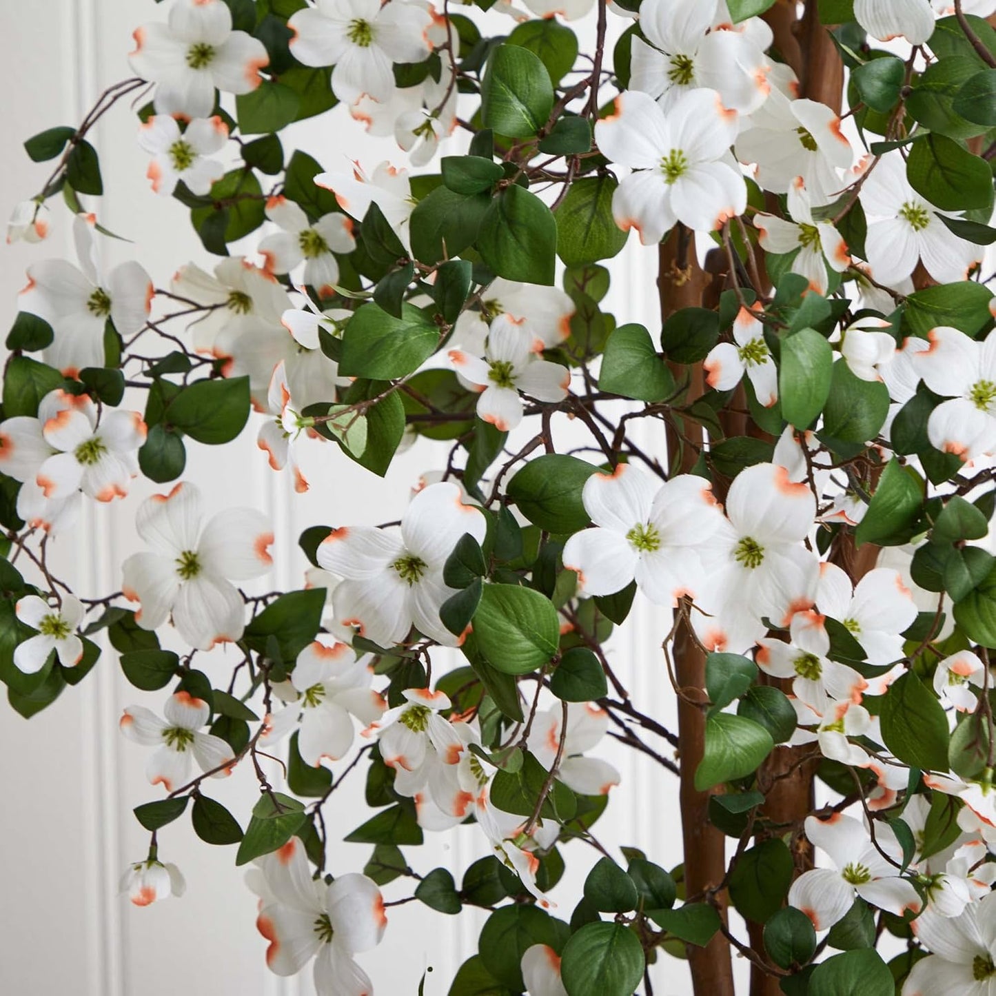5ft. Dogwood Silk Tree
