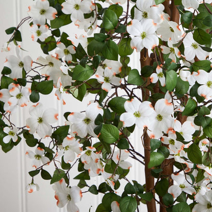 5ft. Dogwood Silk Tree