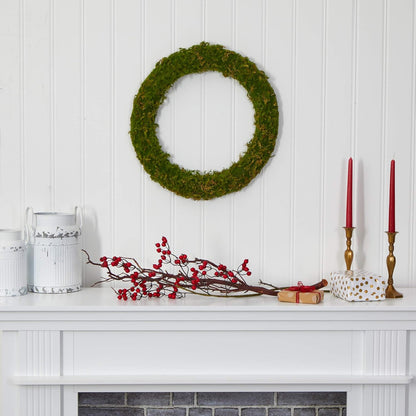 20in. Moss Artificial Wreath