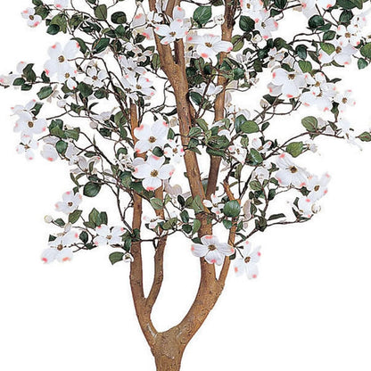 5ft. Dogwood Silk Tree
