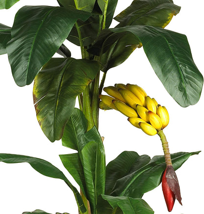 5226 6ft. Triple Stalk Banana Silk Tree , Green , 53.25" x 13" x 11.5"