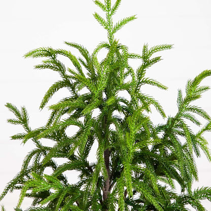 4ft. Artificial Norfolk Pine Tree