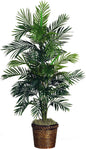 5263-0308 56in. Areca Palm Silk Tree with Basket, Green,30" x 32" x 56"