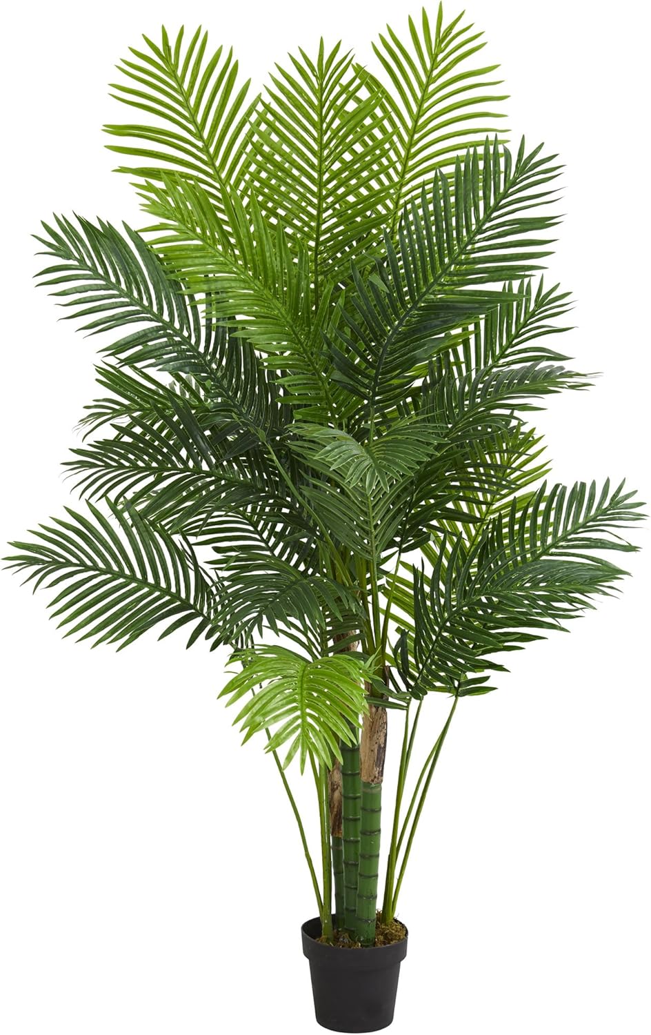 6’ Hawaii Palm Tree Artificial Plant, 6.5" D x14 W x6 Ft, Green